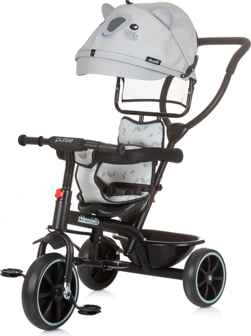 Tricycle with Canopy Pulse 2-in-1