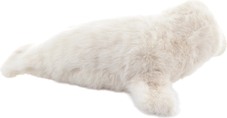 Sicuro fin dalla nascita