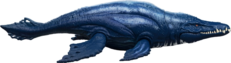 Detailed design and large 30 cm size