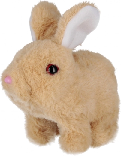 Adorable movements and sounds