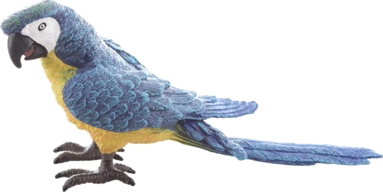 Posa stabile in piedi