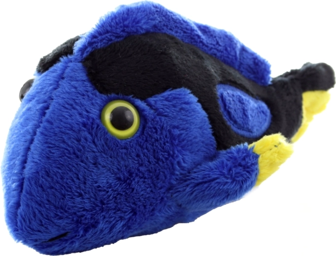 Vibrant colors that captivate