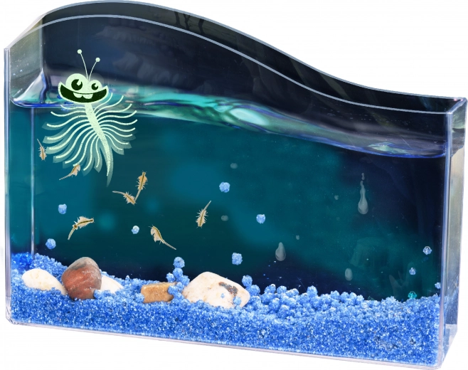 Kosmos wodny pupil – solowiec (Artemia) zestaw startowy