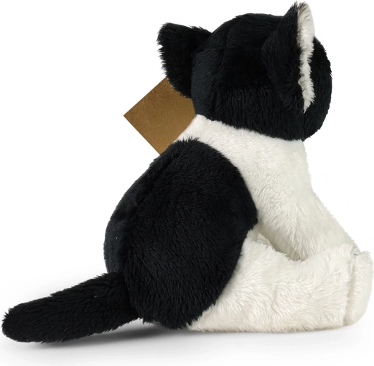 Design assis avec longue queue