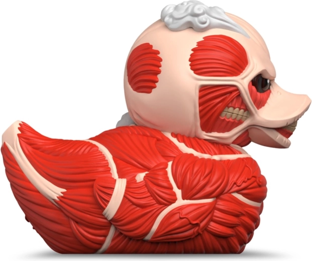 Taille XL imposante 23 cm