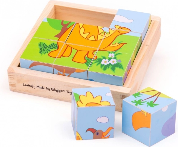 Velkéjigs Cubi da Immagine Dinosauri 9 cubi