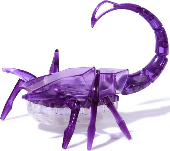 Design HEXBUG transparent attrayant
