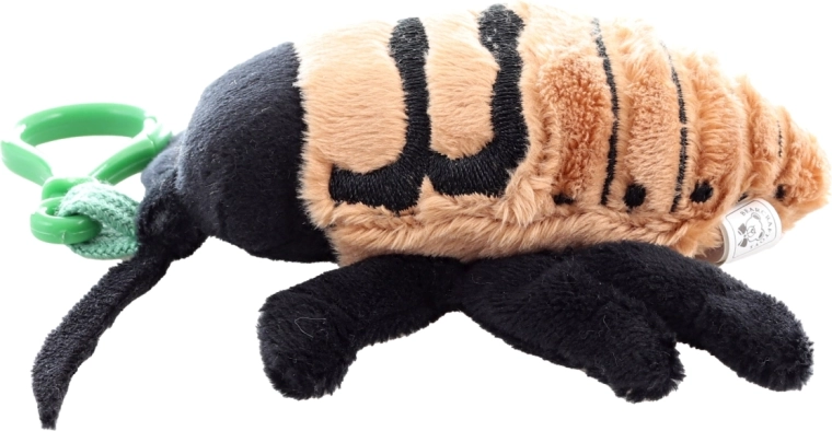 Kompaktna velikost za na pot