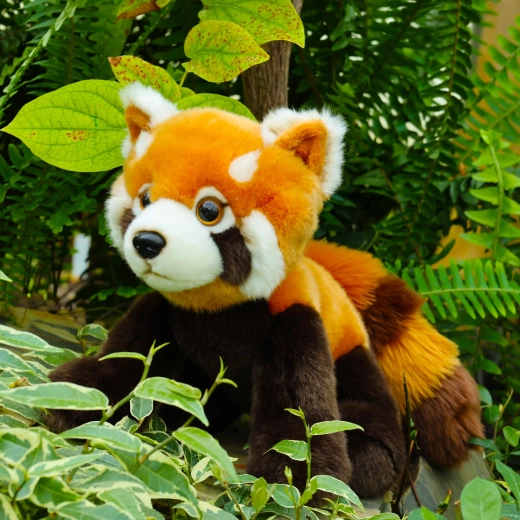 Détails réalistes du panda roux