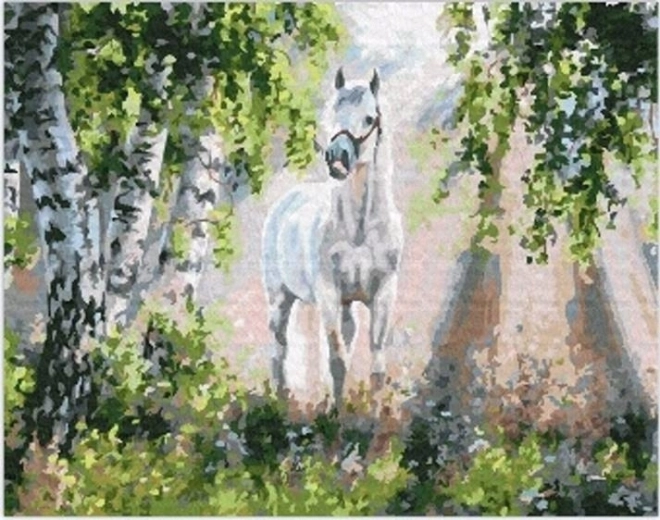 Diamantové malování bílý kůň 30 × 40 cm