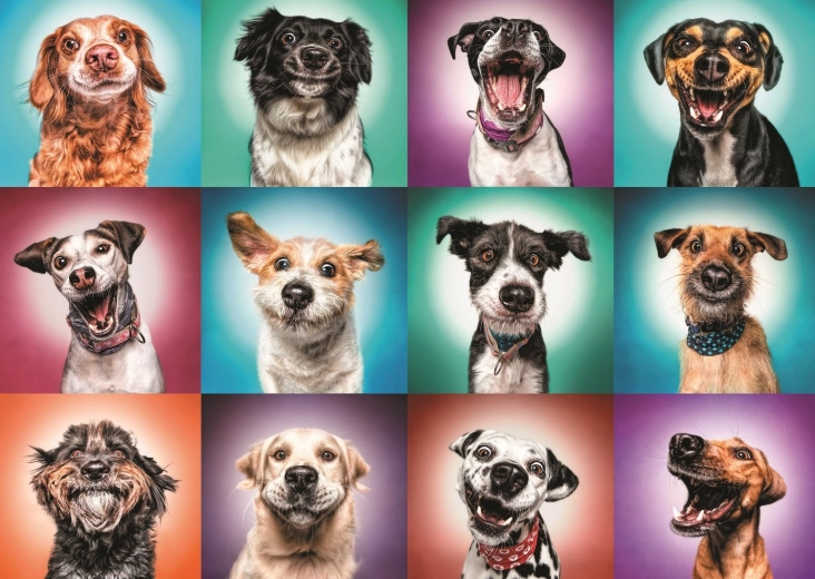 2000-Piece Puzzle – Fun Dog Portraits II