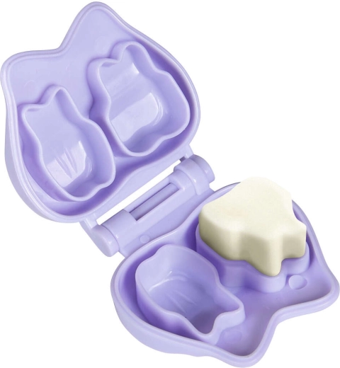 Molds and accessory case