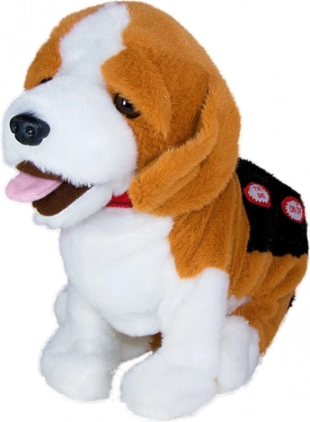 Bevordert vaardigheidsontwikkeling