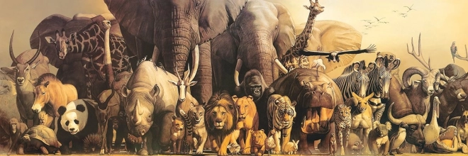 Eurographics panoramic puzzle Noah's Ark 1000 pieces