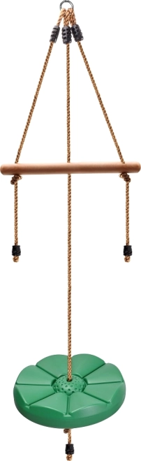 Swinging Disc with Monkey Bar for Children