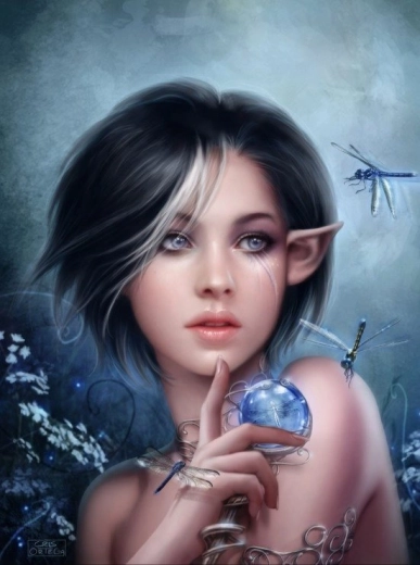 Grafika Puzzle Curse of the Dragonfly – 2000 pieces