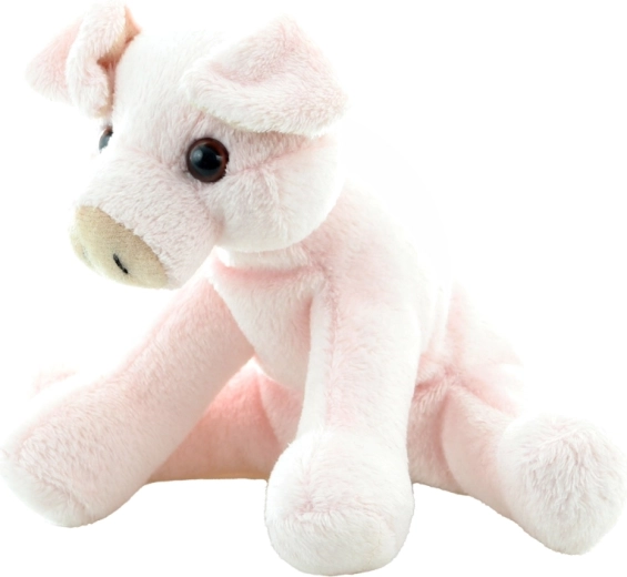 Kompaktna velikost 14 cm