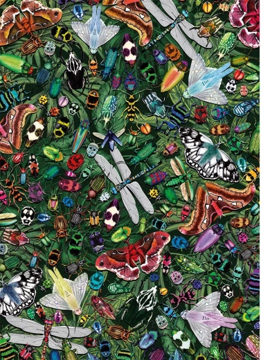 Puzzle Winged Wonders 1000 Pieces by Gibsons