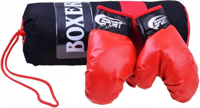 boxing set with gloves and punching bag
