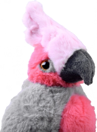 Ideaal formaat voor onderweg