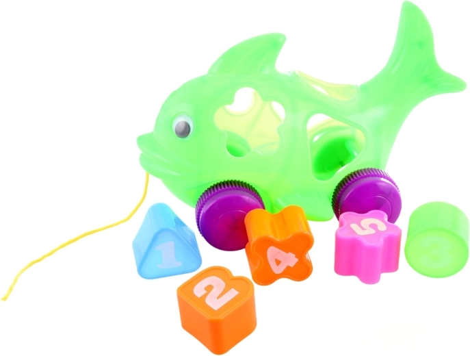 Apprendimento di forme e colori con 5 pezzi