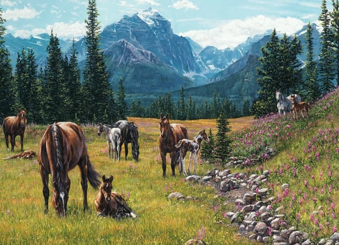 Cobble Hill Puzzle Pasture 1000 pieces