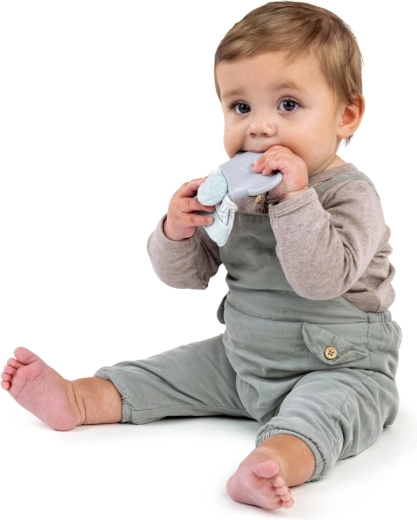 Sonaglio che cattura l’attenzione e tranquillizza