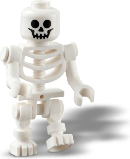 Un squelette qui stimule l’imagination