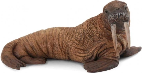 Collecta polar walrus figurine