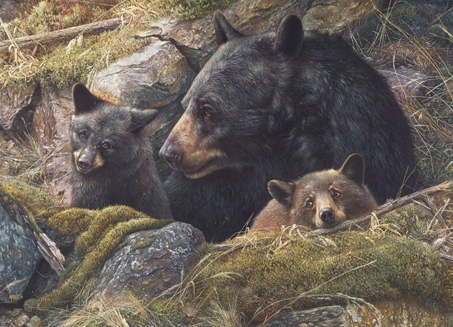 Bear Family Puzzle by Cobble Hill 1000 Pieces