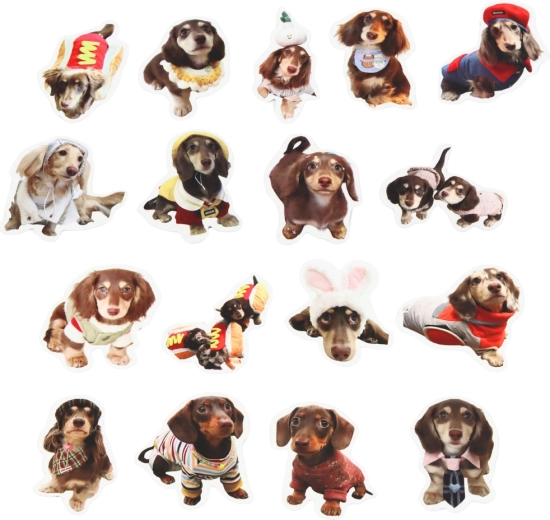 Ideaal formaat van 5 cm voor decoratie