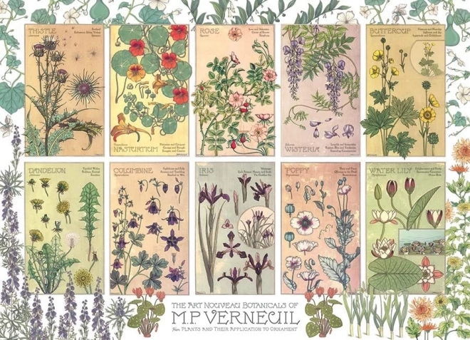 Verneuil Botanica Puzzle 1000 pieces