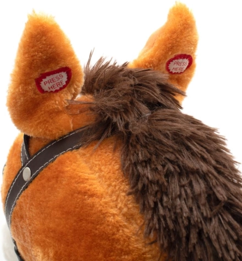 Interactive ears with sounds and melody