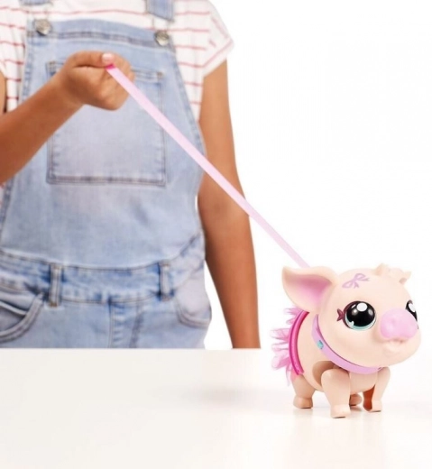 Leash walks and dance