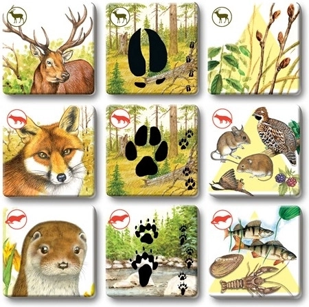 Durable cards for frequent play