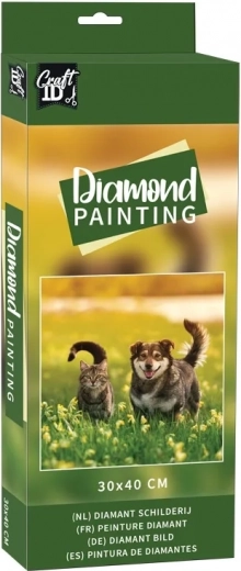 Diamantno slikanje Prijatelji na travniku 30x40 cm