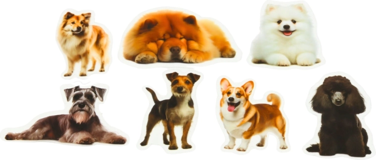 Transparent background for a clean look