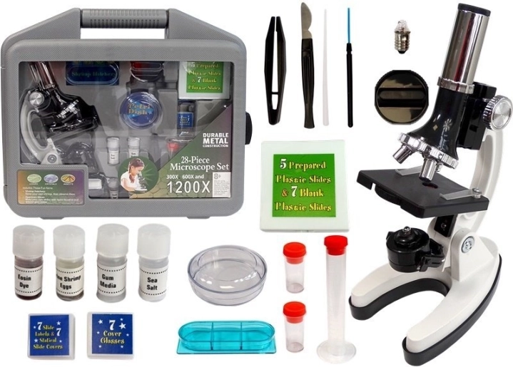 Valigetta scientifica per bambini con microscopio 300x 600x 1200x