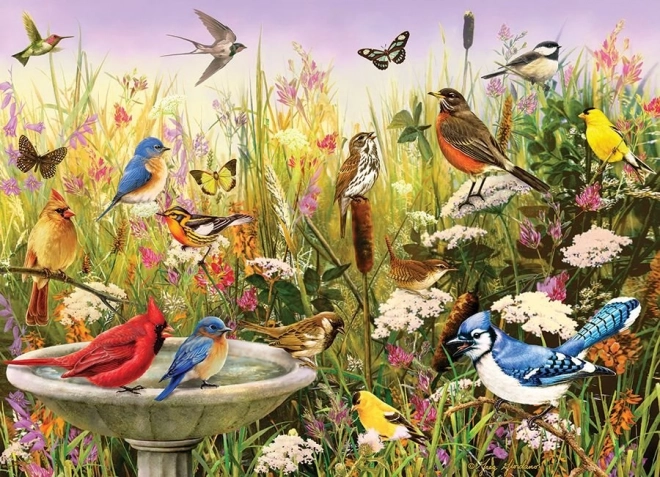 Puzzle COBBLE HILL Feathered Friends 1000 pieces
