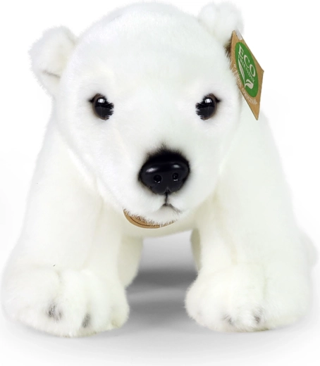 Une douceur dont vous tomberez amoureux