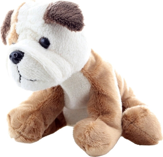 Varno za najmlajše (0+)