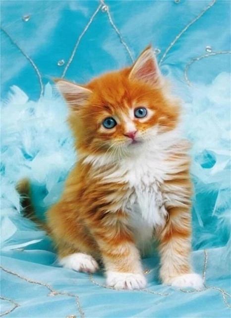 Diamond Painting – Ginger Kitten on a Blue Background 30 × 40 cm