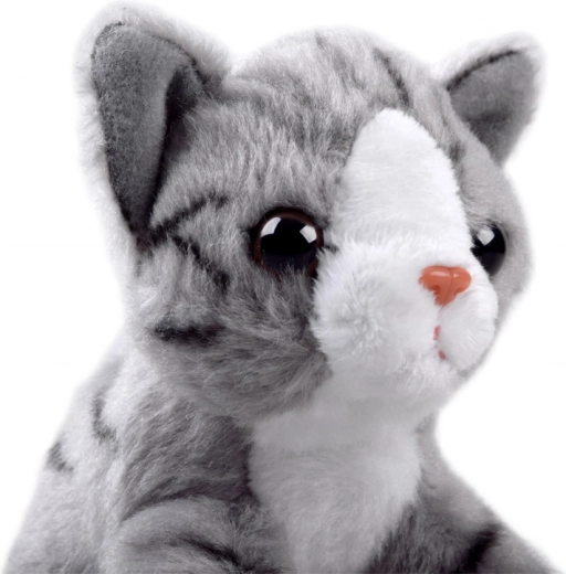 Realistický vzhled koťátka