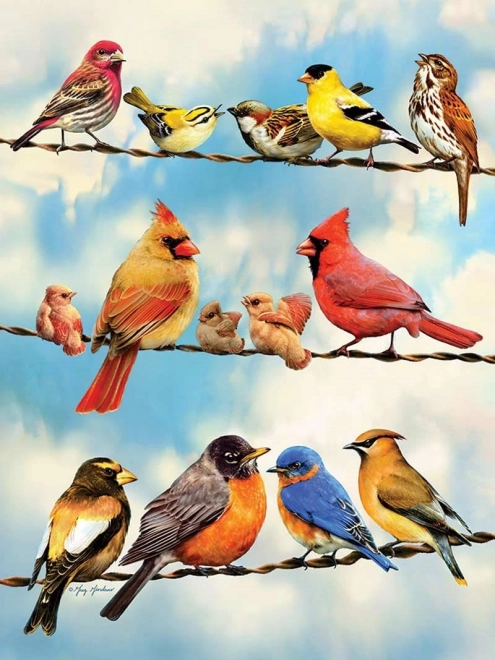Birds on a Wire Puzzle 500 Pieces by Cobble Hill