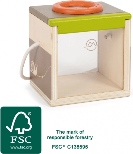 Collectible Insect Observation Box