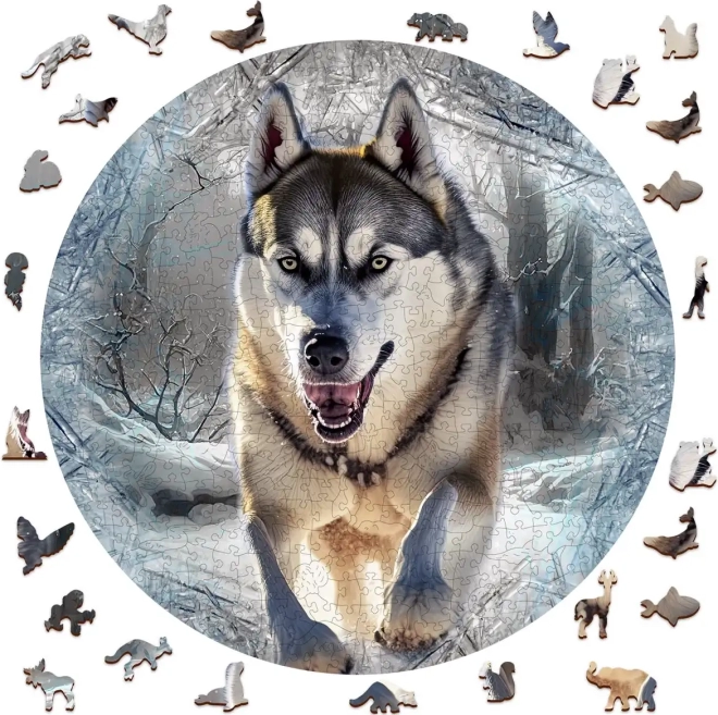 Træpuslespil Løbende Ulv 505 brikker fra Wooden City