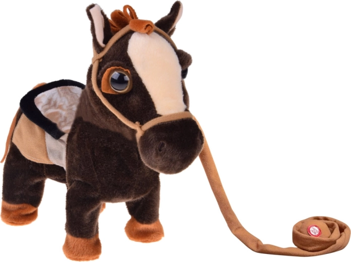 Leash for guiding and realistic play