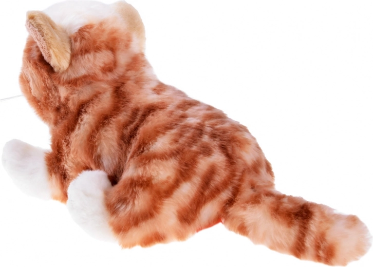 Realistický vzhled a detaily