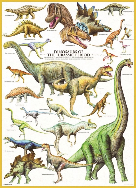 Eurographics Puzzle Dinosaurs from the Jurassic Period 1000 Pieces