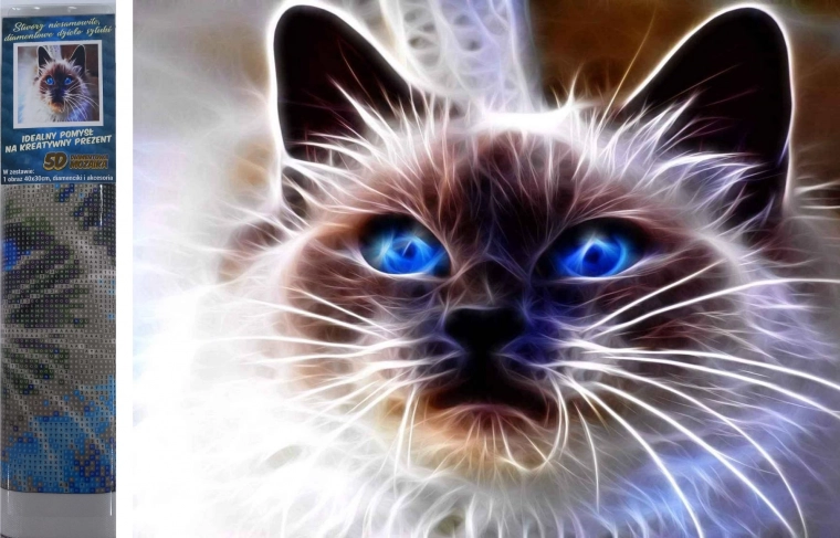 Diamond Painting Cat Magic 30 × 40 cm
